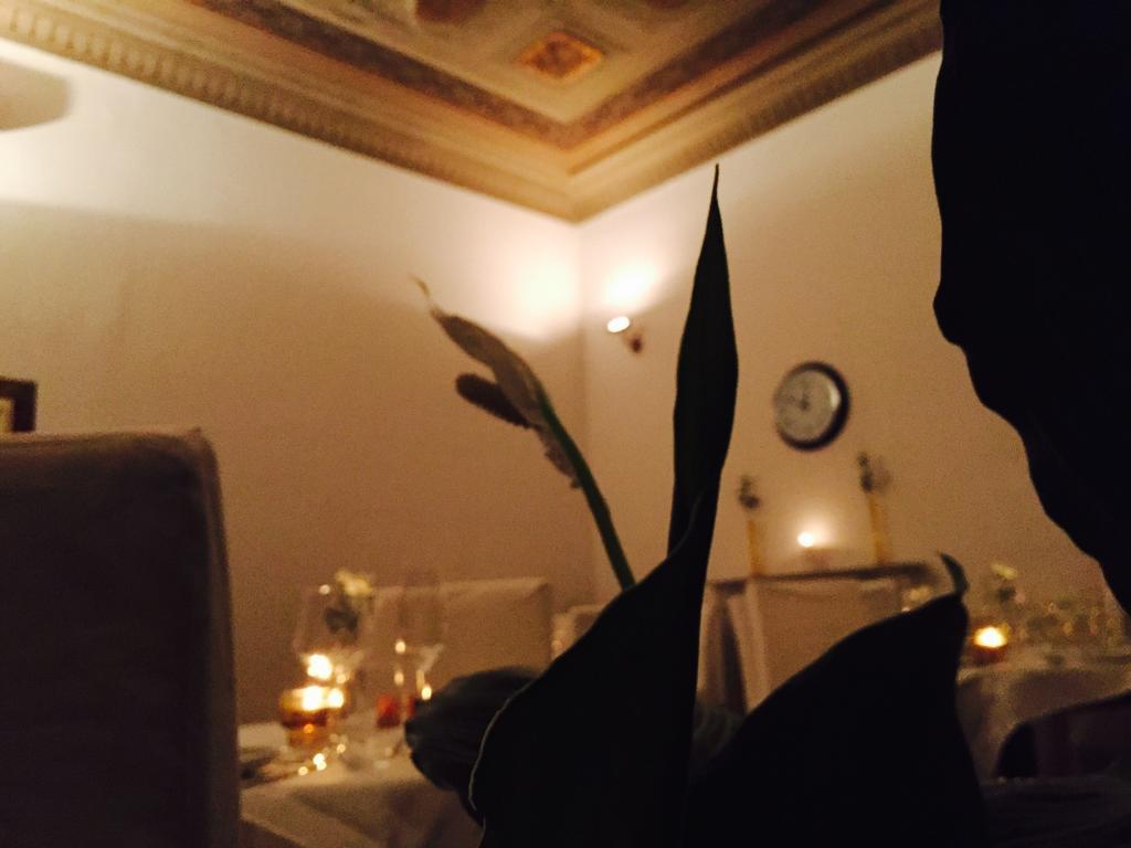 Home Restaurant Hotel Floransa Oda fotoğraf
